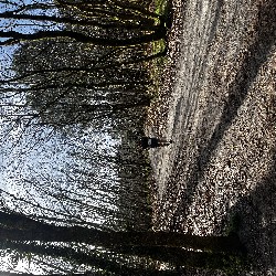 IMG_2177.JPG