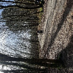 IMG_2180.JPG