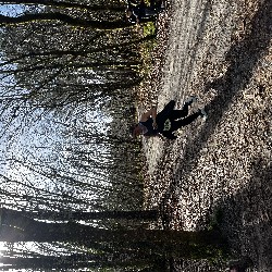 IMG_2186.JPG