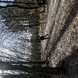 IMG_2187.JPG