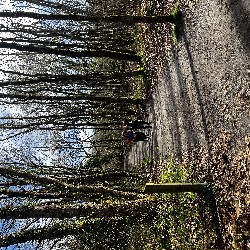 IMG_2188.JPG