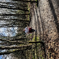 IMG_2195.JPG