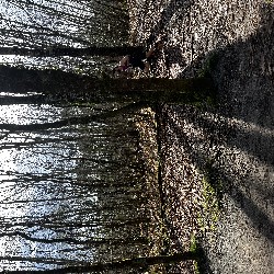 IMG_2196.JPG