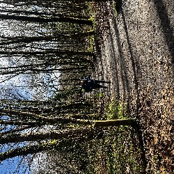IMG_2197.JPG