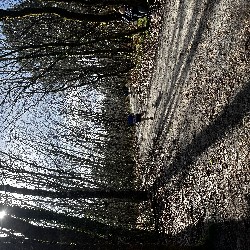 IMG_2200.JPG