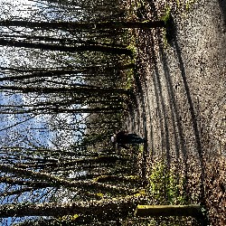 IMG_2201.JPG