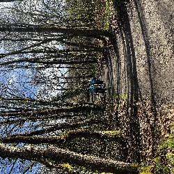 IMG_2208.JPG