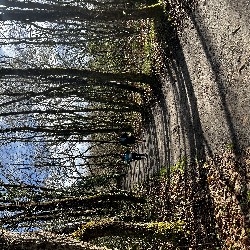 IMG_2209.JPG