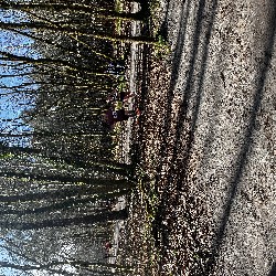 IMG_2214.JPG