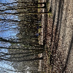IMG_2220.JPG