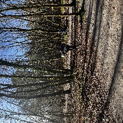 IMG_2224.JPG