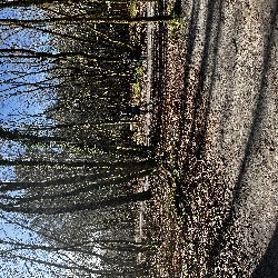 IMG_2225.JPG