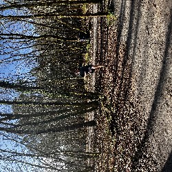 IMG_2229.JPG