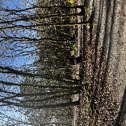 IMG_2231.JPG