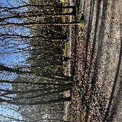 IMG_2234.JPG