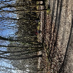 IMG_2236.JPG