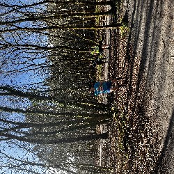 IMG_2239.JPG