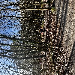 IMG_2242.JPG