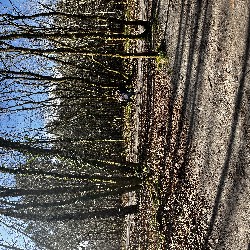 IMG_2250.JPG