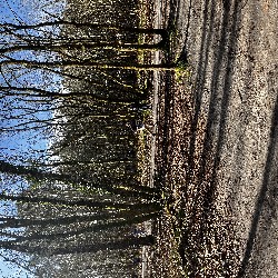 IMG_2251.JPG