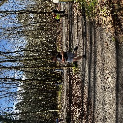 IMG_2252.JPG