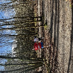 IMG_2261.JPG