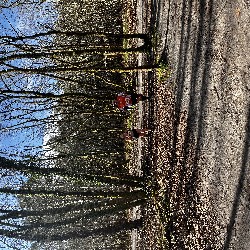 IMG_2262.JPG