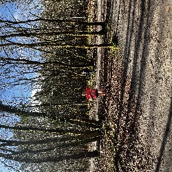 IMG_2264.JPG