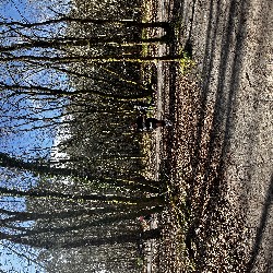 IMG_2265.JPG