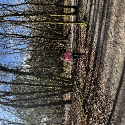 IMG_2267.JPG
