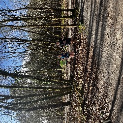 IMG_2268.JPG