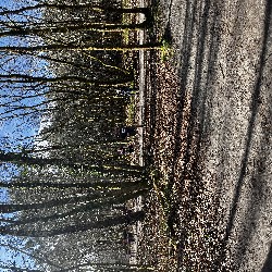 IMG_2273.JPG