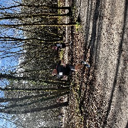 IMG_2274.JPG