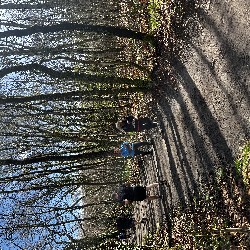 IMG_2276.JPG