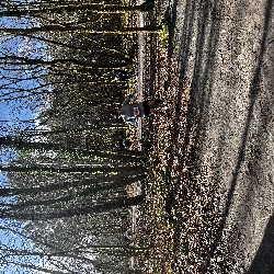 IMG_2281.JPG