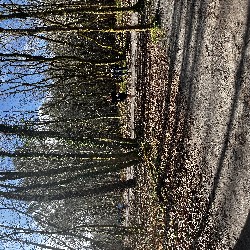 IMG_2282.JPG
