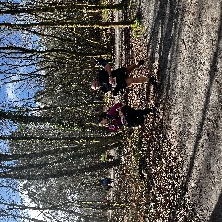 IMG_2293.JPG