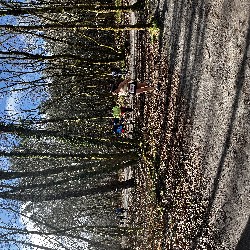 IMG_2294.JPG