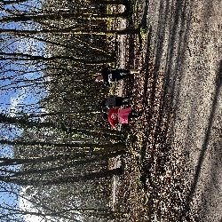 IMG_2297.JPG