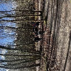 IMG_2299.JPG