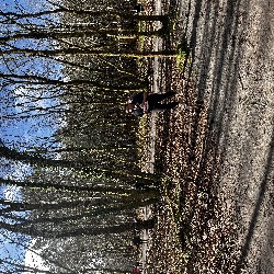 IMG_2301.JPG