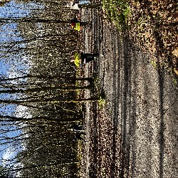 IMG_2314.JPG