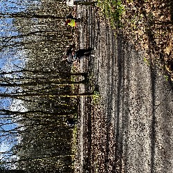 IMG_2315.JPG