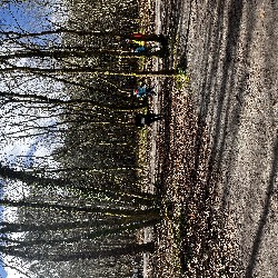 IMG_2324.JPG
