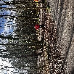 IMG_2351.JPG