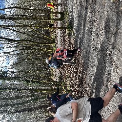 IMG_2354.JPG