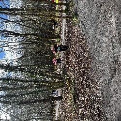IMG_2356.JPG