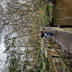 IMG_2929.JPG