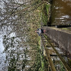 IMG_2936.JPG