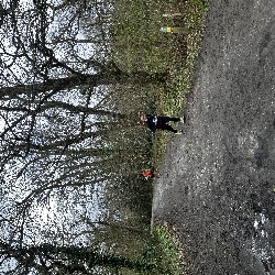 IMG_2943.JPG